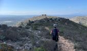 Trail Walking Torroella de Montgrí - Castel de mont gris variante - Photo 12