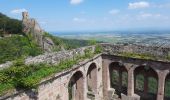 Tour Wandern Rappoltsweiler - Les 3 châteaux de Ribeauvillé - Photo 6