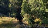 Trail Walking Saint-Chély-d'Aubrac - Compostelle / Chemin du Puy : de Aubrac à Bonneval - Photo 12