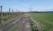 Trail Walking Dalhem - dalhem 4 - Photo 2