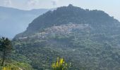 Tour Wandern Gorbio - Gorbio Ste-Agnès - Cime de Baudon - Photo 20