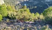 Trail Walking Orgon - Orgon Et ses alentours - Photo 9
