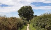 Tour Wandern Villers-la-Ville - petit pèlerinage vers l abbaye de villers la ville - Photo 17