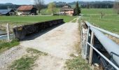 Trail On foot Schüpfheim - Luswald - Bodenmatt - Photo 2