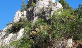 Tour Wandern Marseille - Calanque d'en Vau - Photo 15