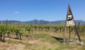 Tour Wandern Mittelweier - Les perles du vignoble : Mittelwihr - Beblenheim - Zellenberg - Hunawihr - Riquewihr - Sigolsheim - Photo 6