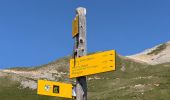 Trail Walking Pralognan-la-Vanoise - Pralognan - le petit Mont Blanc - Photo 11
