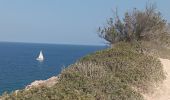 Trail Walking Leucate - franki plage - phare leucate - hommage aux pompiers de l'aude - Photo 8