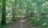 Trail Walking Hamoir - hamoir . sy . hamoir  - Photo 3