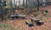 Excursión Senderismo St. Märgen - Cascade Zweribach depuis Sankt Märgen - Photo 5