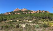 Trail Walking Saint-Raphaël - Collines et vallons de l'Esterel - Photo 8