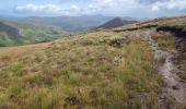 Tocht Stappen West Cork - Glengarriff - Ardrigole - Photo 8