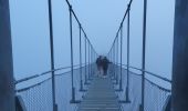 Trail Walking Mazamet - Mazamet : chemin de la passerelle  - Photo 5