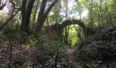 Trail Walking Rogues - 34 le roc du saut du loup 2/05/22 - Photo 8