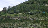 Trail Walking La Palud-sur-Verdon - Sentier Blanc Martel - Photo 20