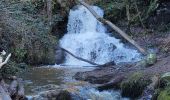 Trail Walking Enval - Enval_APAGE_Cascades_17-12-2023_T - Photo 5