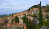 Randonnée Marche Bormes-les-Mimosas - Bormes les Mimosas - ND de Constance - Cols de Caguo Ven et Landon - Pierre d'avenon - Photo 7