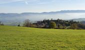 Tour Wandern Riverie - Riverie - Tour au dessus de Riverie - Photo 4