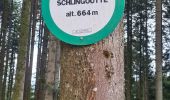 Trail Walking Rombach-le-Franc - Col de Schlingoutte - Photo 7