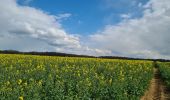 Tocht Stappen Rouvroy - circuit rouvroy fonsomme croix fonsommes - Photo 3