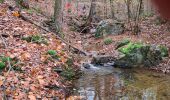 Trail Walking Spa - RS Spa 2024_11_17 - Photo 10
