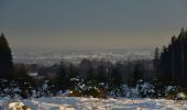 Tour Zu Fuß Weismes - Moulin Bayehon : Bayehon Botrange - Photo 6