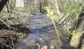 Percorso A piedi Sangerhausen - Wildrosenpfad - Photo 4