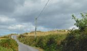 Percorso A piedi West Cork - Gortnakilly Loop - Photo 2