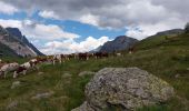 Percorso Marcia Pralognan-la-Vanoise - Montaimont par la vallée des Nants  - Photo 1