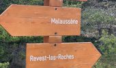 Tour Wandern Revest-les-Roches - Revest les Roches - le Mont Vial - Photo 11