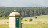 Randonnée A pied Gemeinde Neunkirchen - Laufstrecke Föhrenwald 1 - Photo 2