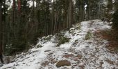 Excursión Senderismo Barr - en partant du carrefour de la Bloss - Photo 3