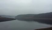 Randonnée Marche Jalhay - Tour  du lac de la Gileppe, à pied sec dans le lac - Photo 14