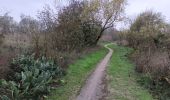 Tocht Stappen Argelès-sur-Mer - mas larrieux automnal rive elne - Photo 17