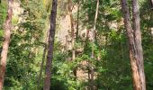 Tour Wandern Geberschweier - Gueberschwihr - Voegtlinshoffen - N.-D. de Schauenberg - Pfaffenheim - Photo 3