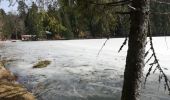 Trail Walking La Bresse - 24022021 La Bresse Lac des corbeaux - Photo 4
