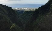 Tocht Stappen Saint-Denis - Cascade Chaudron  - Photo 3