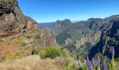 Tocht Stappen Curral das Freiras - Pico do Areeiro - Photo 13