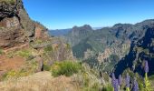 Excursión Senderismo Curral das Freiras - Pico do Areeiro - Photo 13