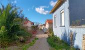 Trail Walking Argelès-sur-Mer - argeles - collioure / retour par la mer  - Photo 2