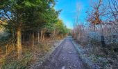 Tour Wandern Ham-sur-Heure-Nalinnes - Balade du Pré al Roch à Jamioulx - Photo 10