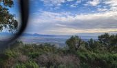 Randonnée Marche Roquebrune-sur-Argens - La flute par Anne Marie C. - Photo 1