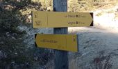 Trail Walking Soleilhas - Le Crémon depuis le Col St Barnabé  - Photo 13