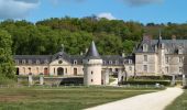 Tour Wandern Continvoir - Continvoir - GRP Coteaux de Bourgueil - Gizeux - 28.5km 345m 6h20 (1h) - 2025 04 17 - Photo 7