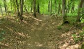 Trail Walking Fosses-la-Ville - Vitrival 030625 - Photo 16