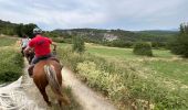 Trail Horseback riding Céreste - Provence 2025 J3 - Photo 3