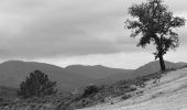 Tocht Stappen Roquebrune-sur-Argens - Col du Bougnon - Les Rollands - Photo 6