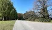 Tour Wandern Havelange - gros-chêne Chêne barvaux cdz - Photo 13