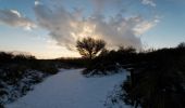 Trail On foot Texel - De Geul - Photo 5