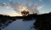 Tour Zu Fuß Texel - De Geul - Photo 5